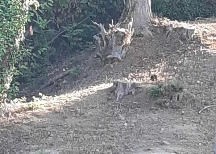 Σπίτι διακοπών Les Cimes - Le
