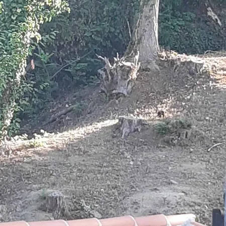 Prázdninový dům Les Cimes - Le